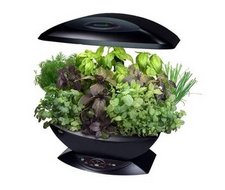 Aerogarden