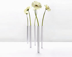 Vases-MAGNETIC-pack-de-5