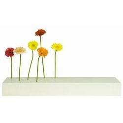 Etagere vegetale