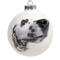 Chien de Noël