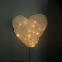 Coeur lumineux