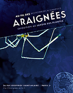 Au fil des araignées