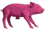 Bank in the form of the pig_1