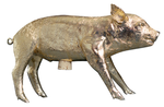 Bank in the form of the pig_3