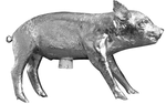 Bank in the form of the pig_2